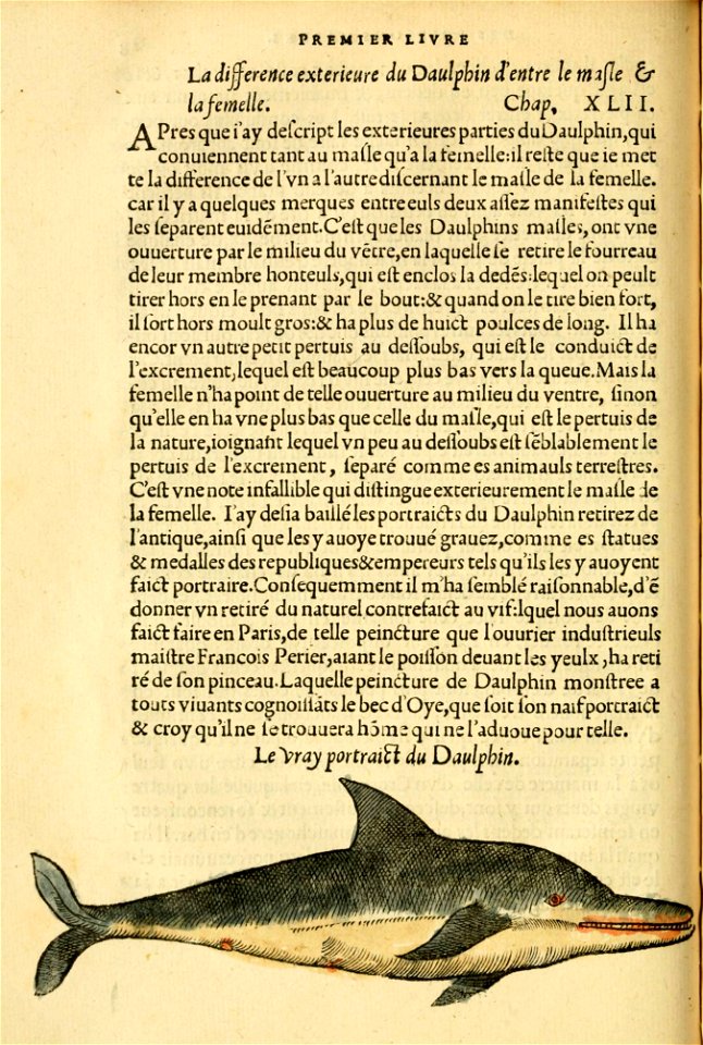 n61_w1150