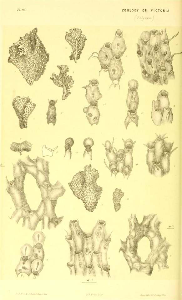 n319_w1150