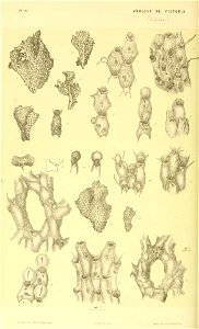 n319_w1150