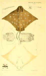 n103_w1150