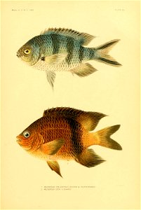 n312_w1150
