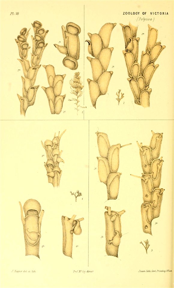 n199_w1150