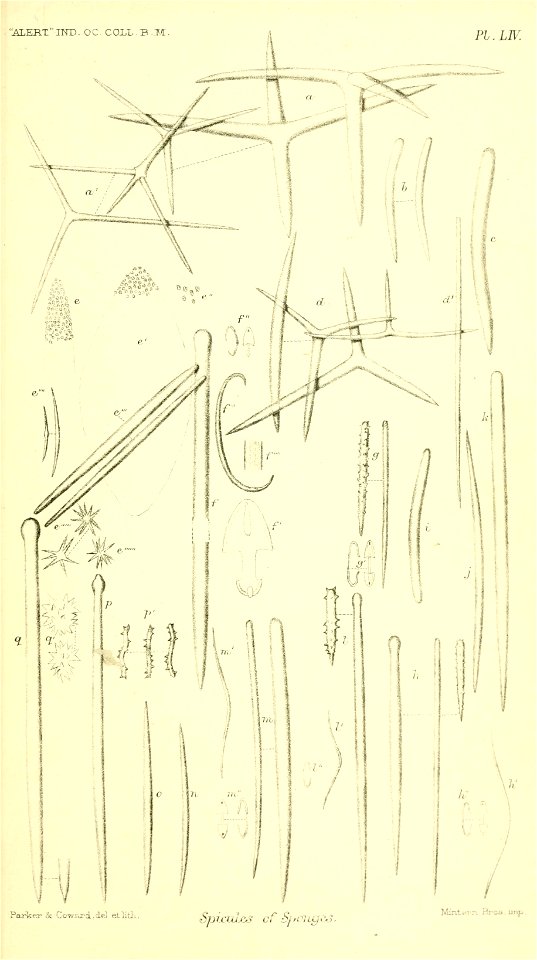 n838_w1150