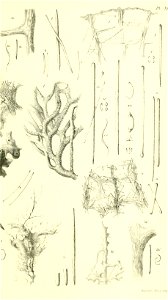 n806_w1150
