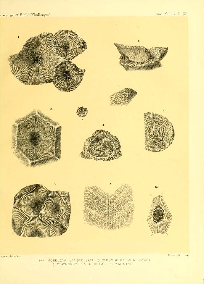 n256_w1150