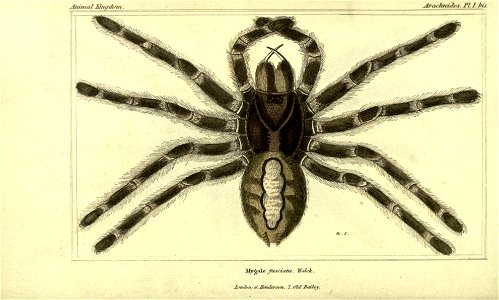 n302_w1150