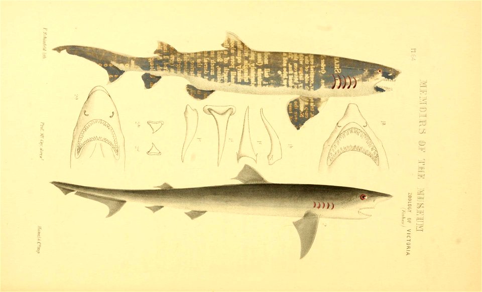 n107_w1150