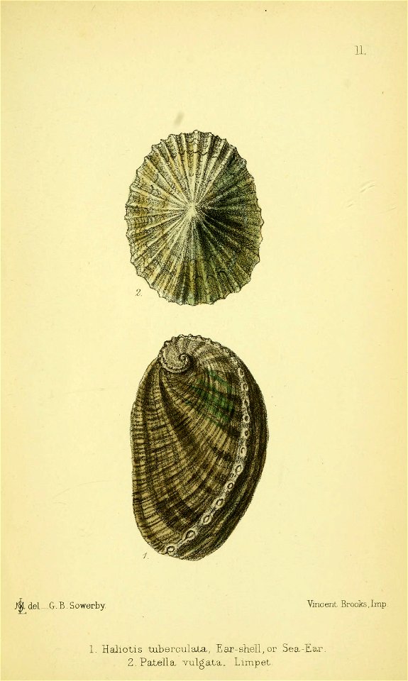 n366_w1150