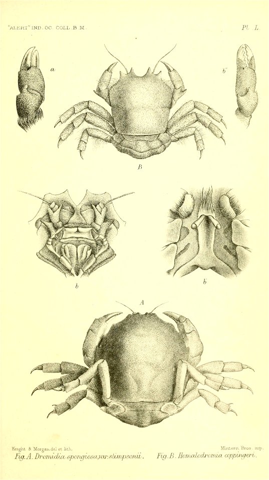 n828_w1150
