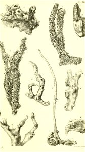 n798_w1150