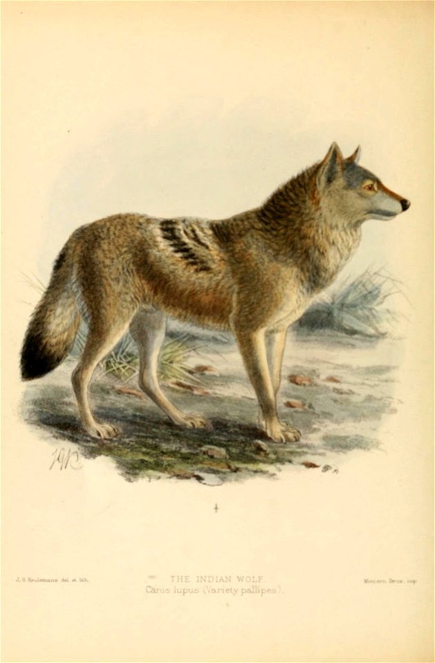 n69_w1150