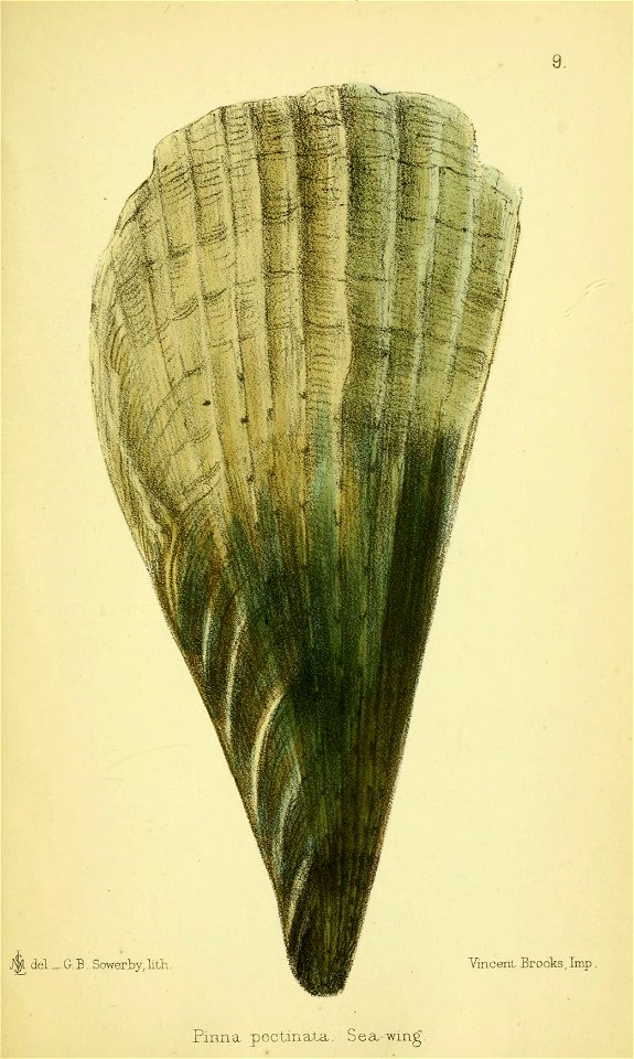 n358_w1150
