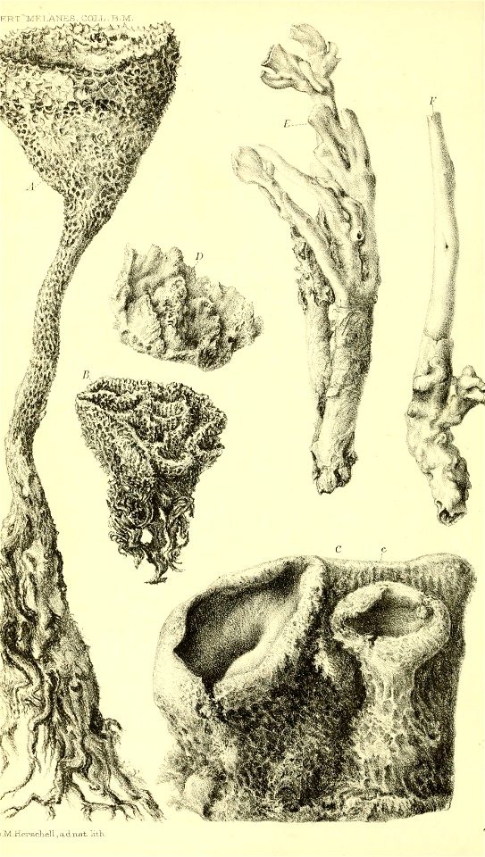 n797_w1150