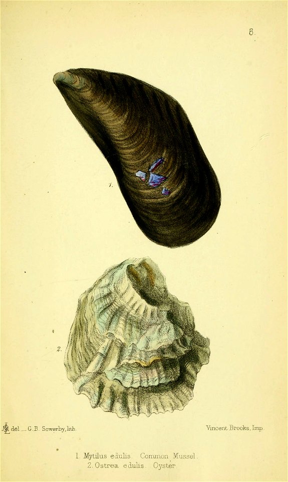 n354_w1150