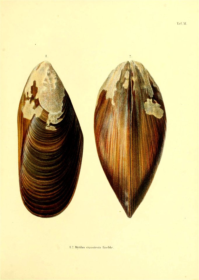 n222_w1150