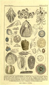 n158_w1150