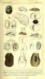 n68_w1150