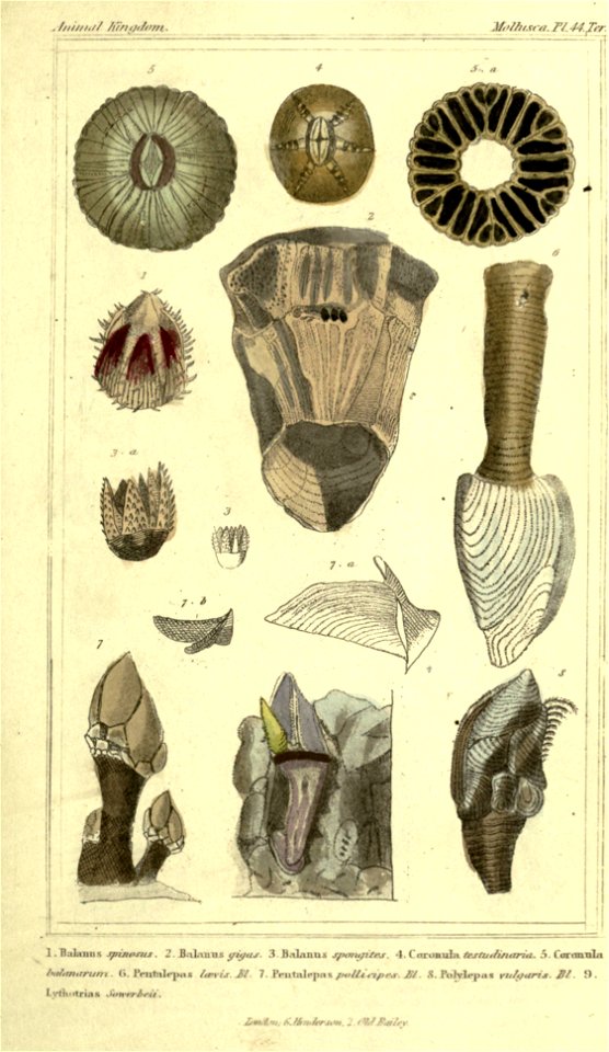 n156_w1150