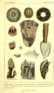 n156_w1150