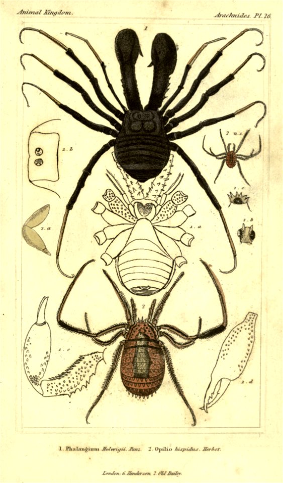 n394_w1150