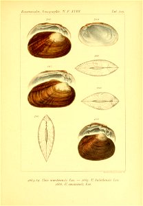n618_w1150