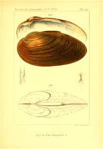 n588_w1150