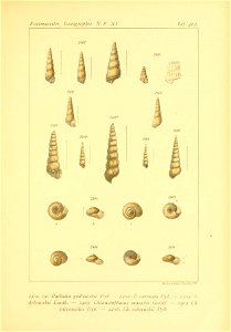 n138_w1150