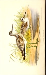 n505_w1150