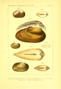 n612_w1150