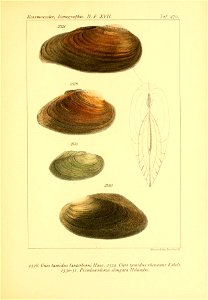 n468_w1150