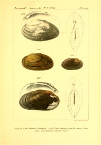 n466_w1150