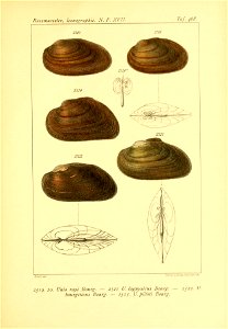 n464_w1150