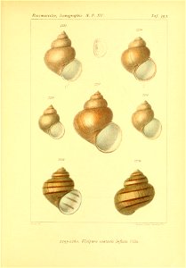 n98_w1150