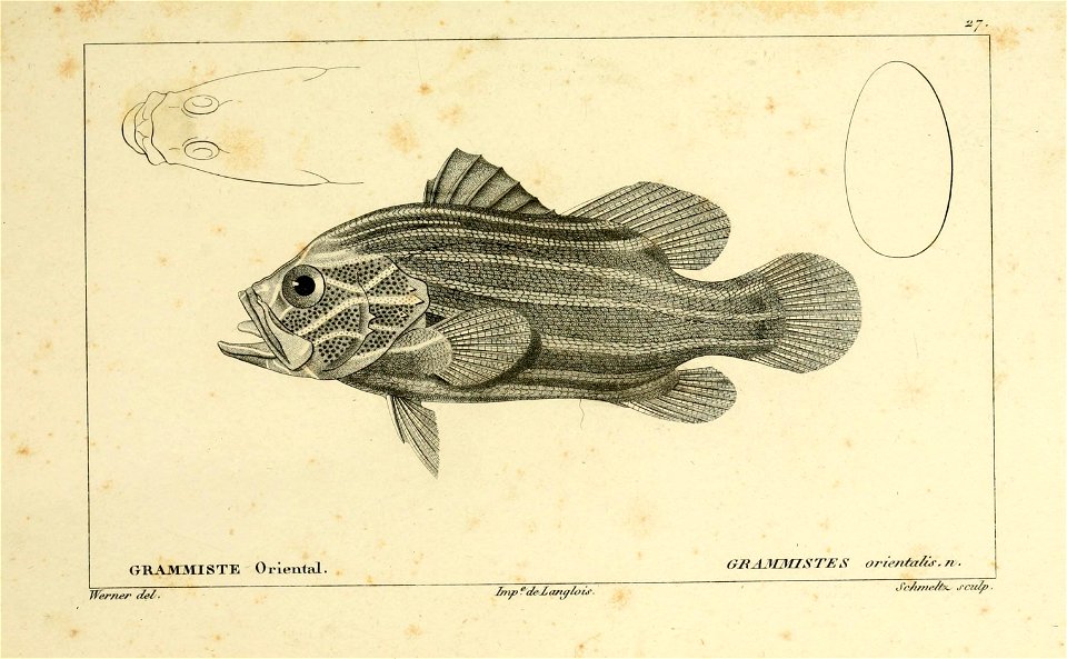 n40_w1150