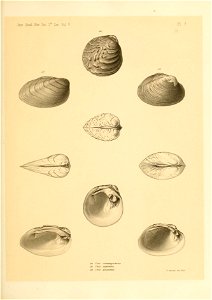 n488_w1150