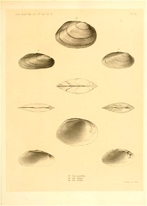 n304_w1150