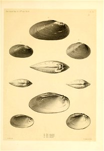 n144_w1150