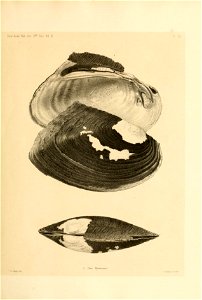 n46_w1150