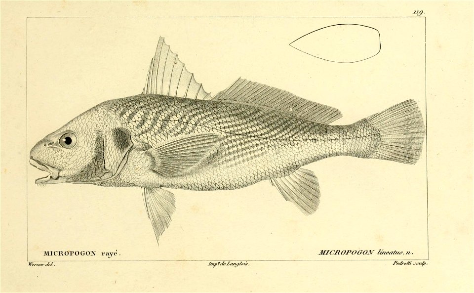 n218_w1150