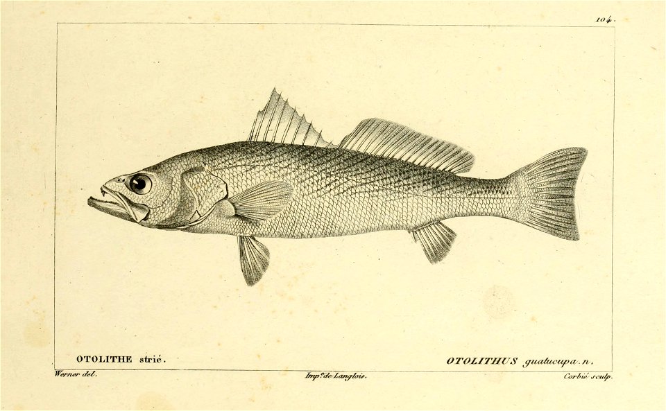 n188_w1150