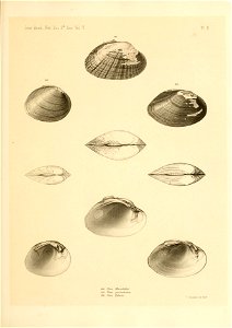 n486_w1150