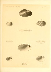 n384_w1150