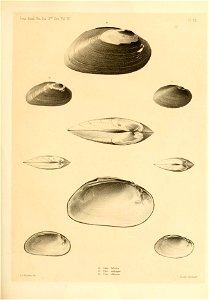 n218_w1150
