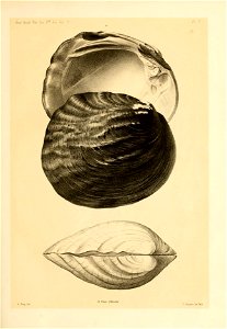 n142_w1150