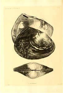 n45_w1150
