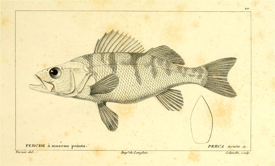 n6_w1150