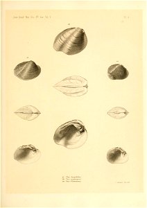 n484_w1150