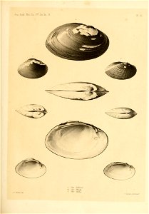 n216_w1150