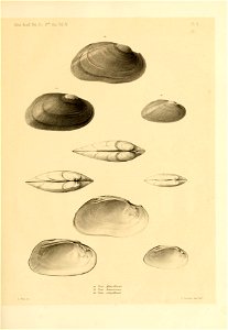 n140_w1150