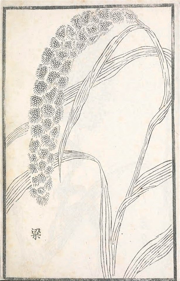 n58_w1150